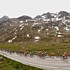 Das Feld whrend der 7. Etappe der Tour de Suisse 2006